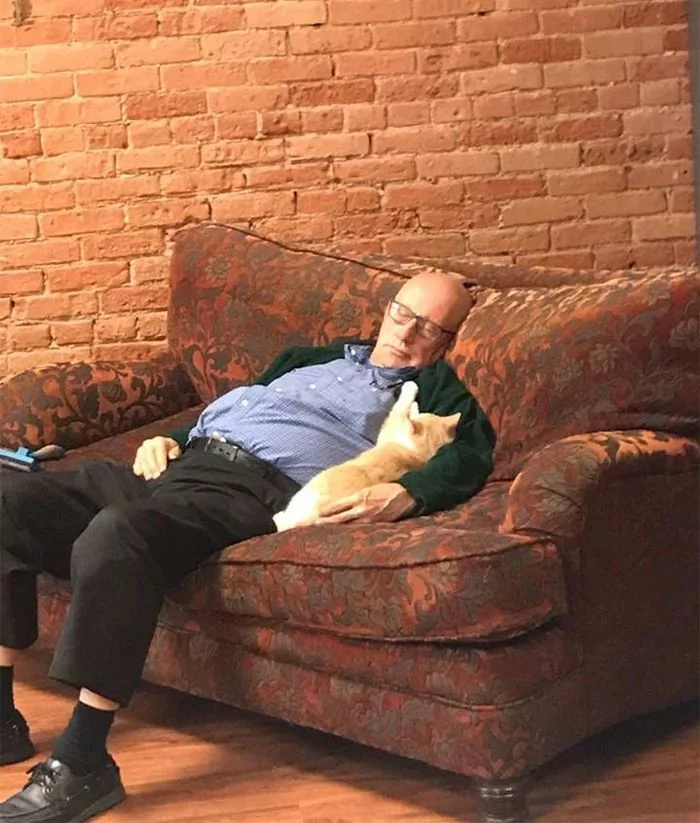老爷爷抱着猫咪睡觉的这几张照片 把一众网友都萌哭了
