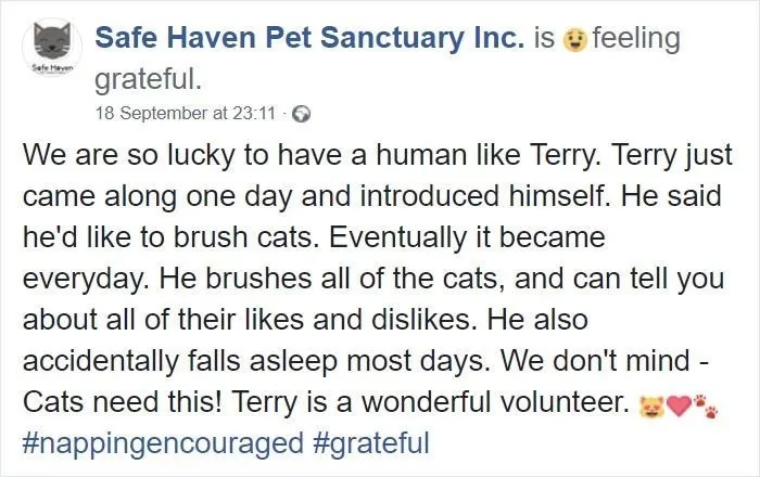 老爷爷抱着猫咪睡觉的这几张照片 把一众网友都萌哭了
