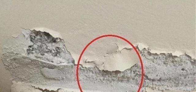 家里墙皮发霉鼓泡开裂…不用费钱找工人 只要这招 家里墙面焕然一新