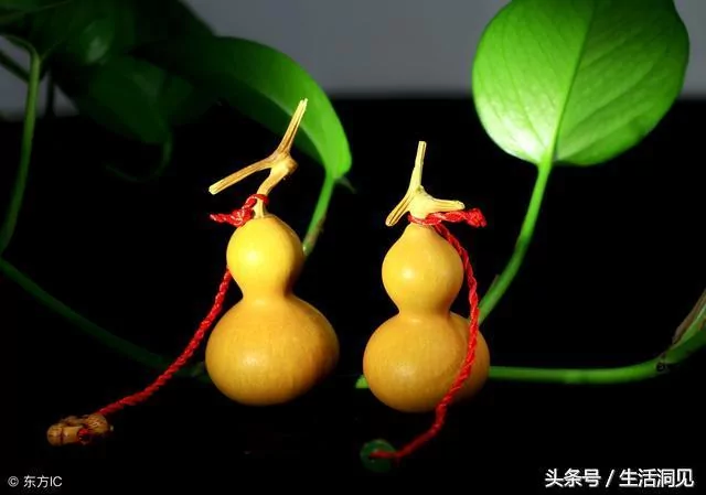 干净的人生 福报不请自来!