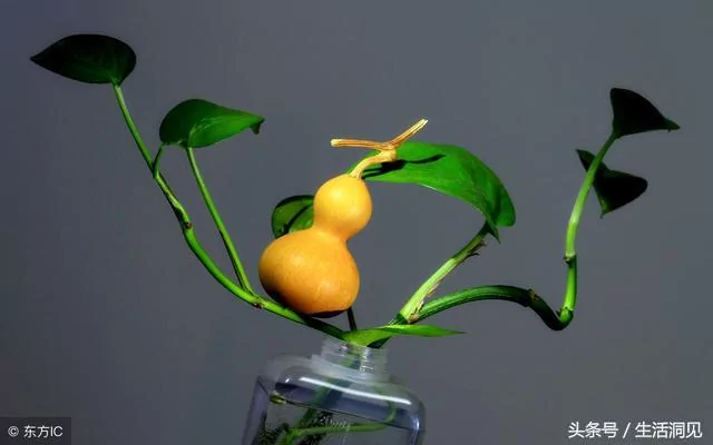 干净的人生 福报不请自来!