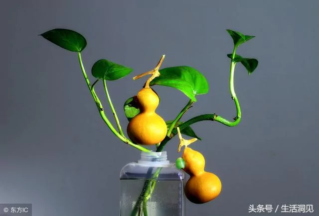 干净的人生 福报不请自来!