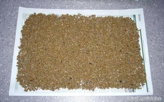 阳台养花种菜不用买土买肥 用这一招 盆土肥沃、十年不板结 花儿猛开