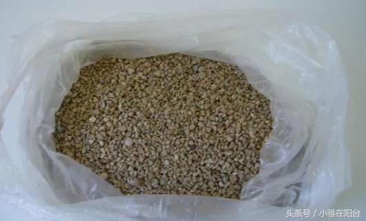 阳台养花种菜不用买土买肥 用这一招 盆土肥沃、十年不板结 花儿猛开