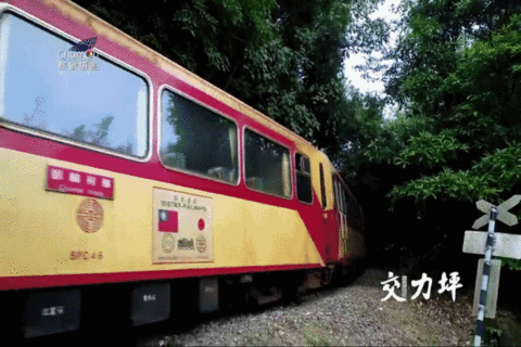 屹立106年!CNN赞叹:阿里山森林铁路令人惊艳 !