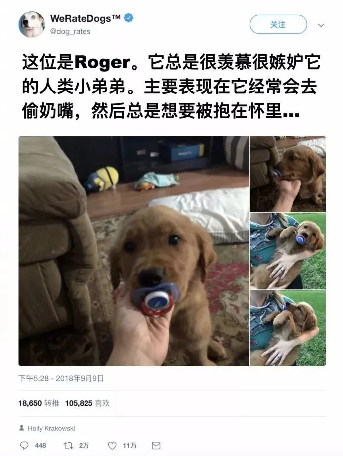 把孩子和狗一起养会怎样?…争宠啊!