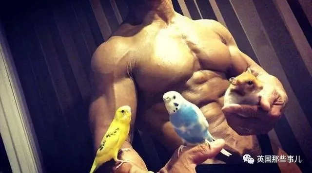 捧着仓鼠晒肌肉…这位“杀手”大叔的画风真是健身界的一股清流