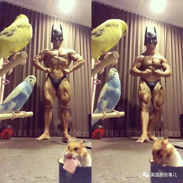 捧着仓鼠晒肌肉…这位“杀手”大叔的画风真是健身界的一股清流