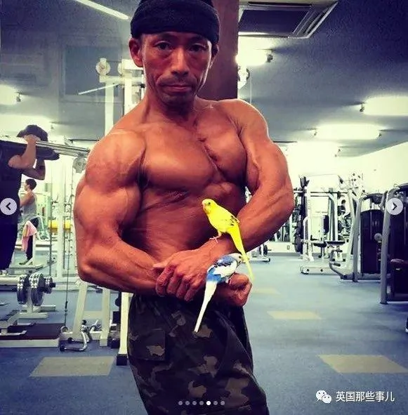 捧着仓鼠晒肌肉…这位“杀手”大叔的画风真是健身界的一股清流