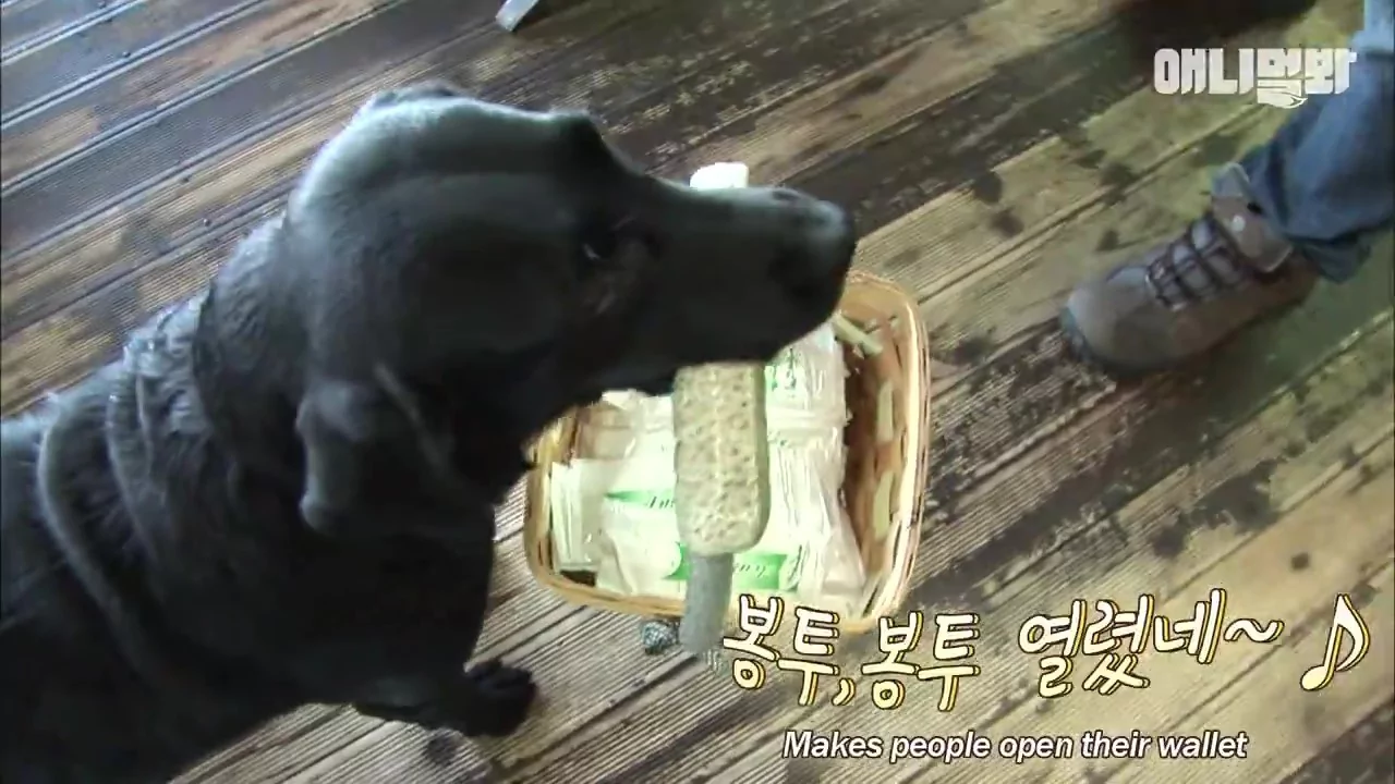狗狗服务生点头打招呼 递菜单又送杯子:请慢用喔!