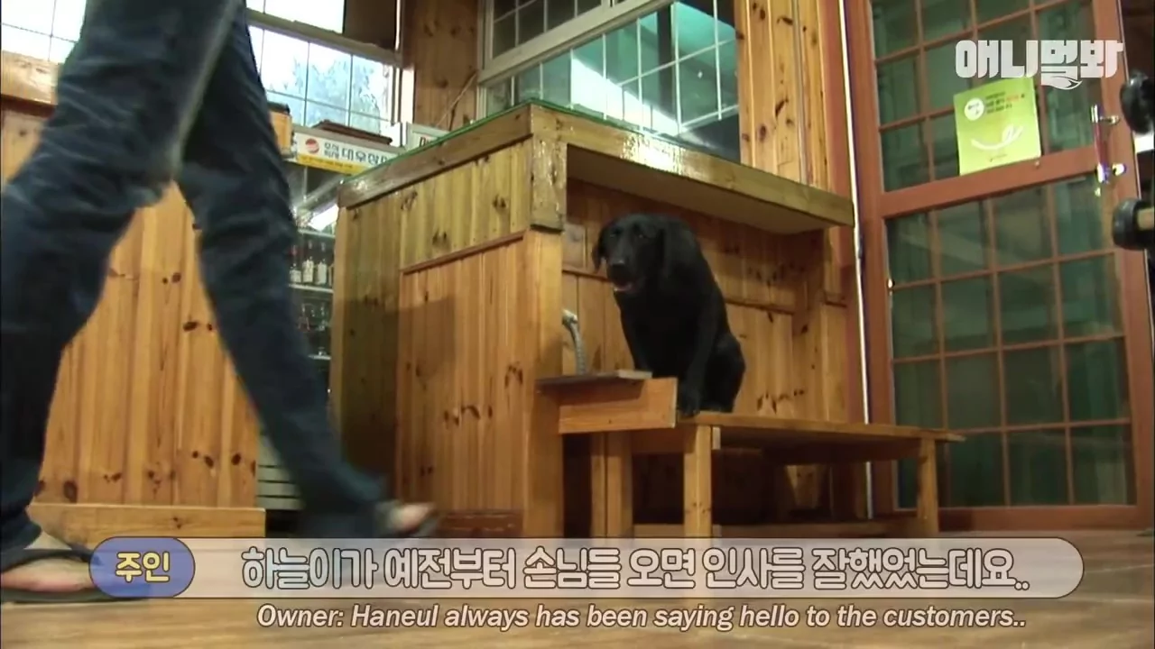 狗狗服务生点头打招呼 递菜单又送杯子:请慢用喔!