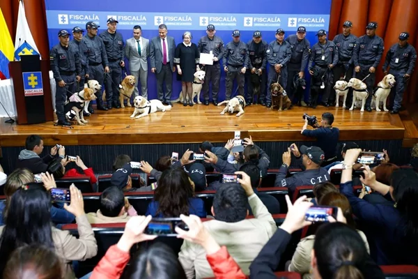 哥伦比亚14只“劳苦功高”的警犬光荣“退休” 并开放民间认养 助其安度晚年!