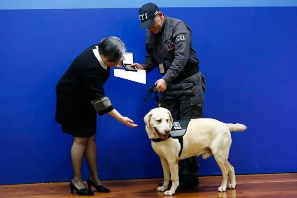 哥伦比亚14只“劳苦功高”的警犬光荣“退休” 并开放民间认养 助其安度晚年!