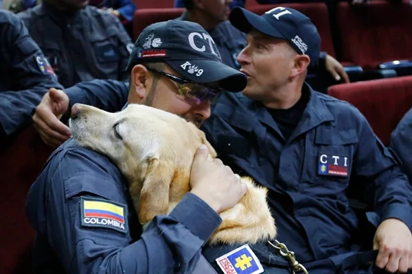 哥伦比亚14只“劳苦功高”的警犬光荣“退休” 并开放民间认养 助其安度晚年!