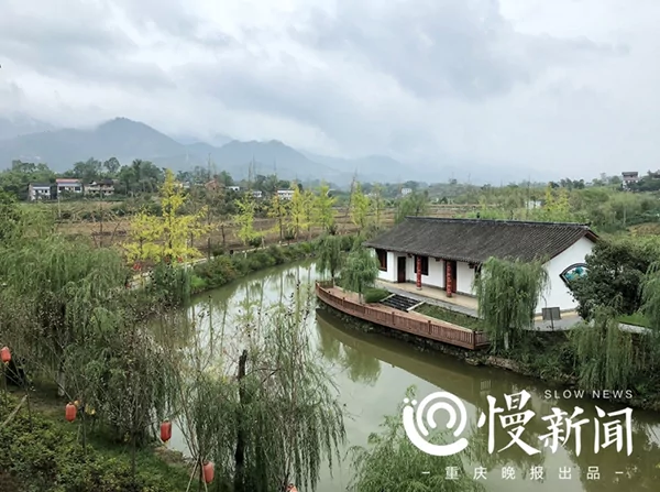 亿万富豪回归田园 投资种水稻:不给子女留家产!