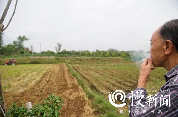 亿万富豪回归田园 投资种水稻:不给子女留家产!