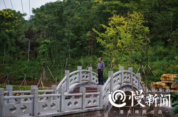 亿万富豪回归田园 投资种水稻:不给子女留家产!