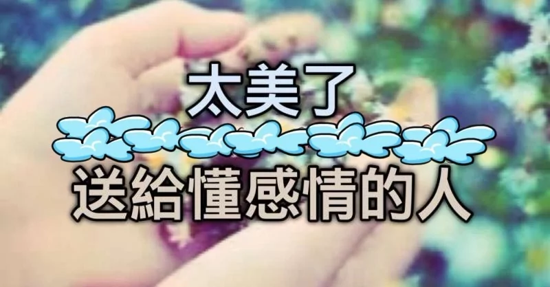 太美了 送给所有懂感情的人!