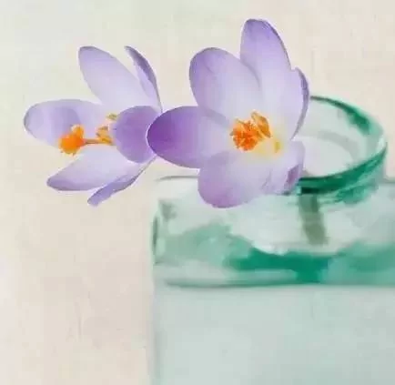 太美了 送给所有懂感情的人!