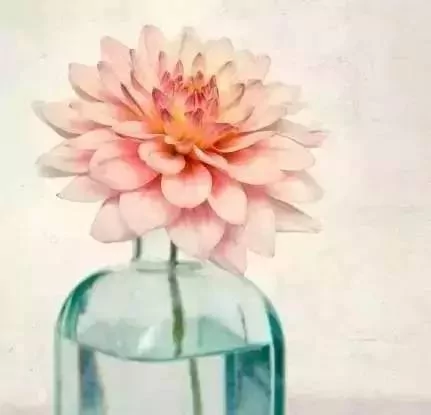 太美了 送给所有懂感情的人!