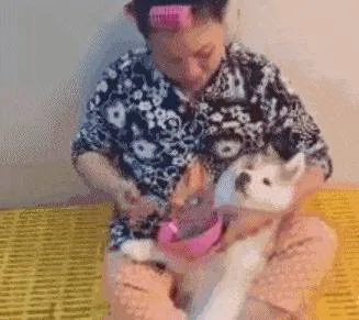 奶奶养大的狗 果然不同凡响!