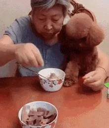 奶奶养大的狗 果然不同凡响!