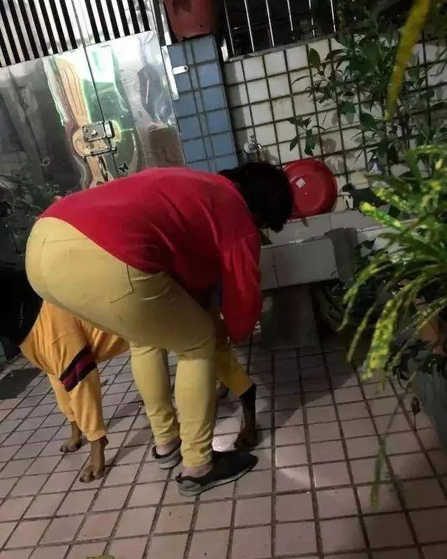 奶奶养大的狗 果然不同凡响!