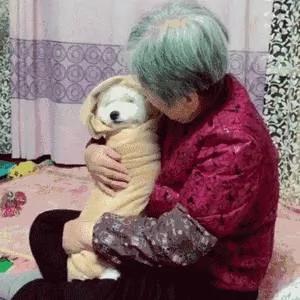 奶奶养大的狗 果然不同凡响!