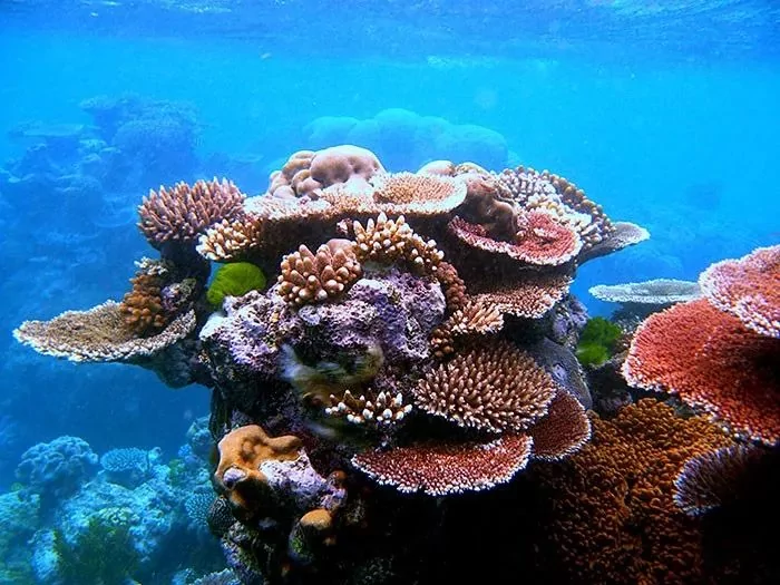 网友预测1万年到1万亿年后的未来 看着有点心慌!