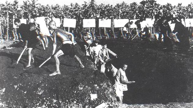 大饥荒:仅安徽阜阳地区死亡人数就堪比红色高棉杀人总和