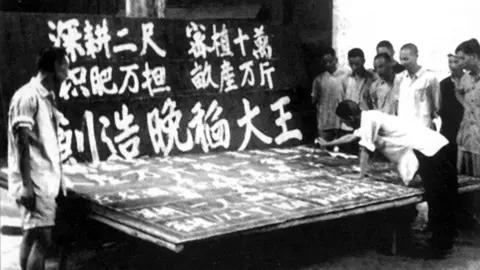 大饥荒年代饥民的奇吃:雁粪、人屎、尸体…