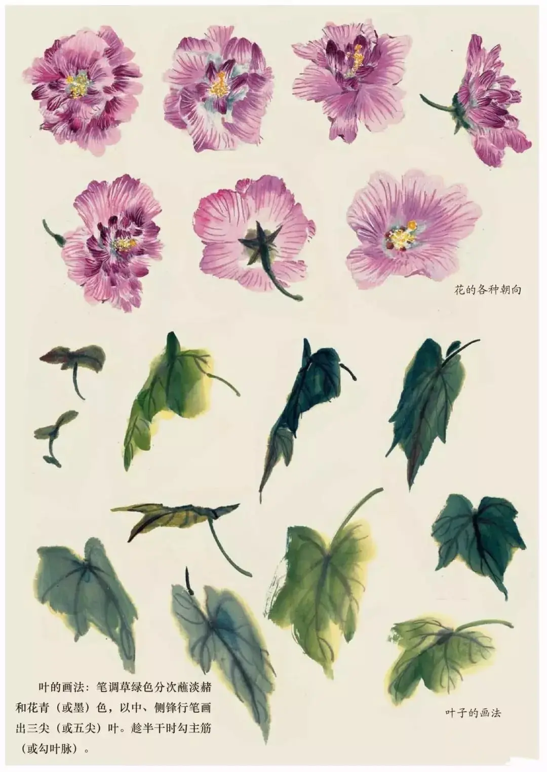 国画中各种花卉的画法太全了 阿波罗新闻网