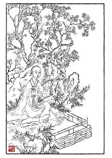 没想到《红楼梦》中竟会有这么多为人处世之道!