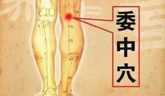 身上有个排湿出口 1天敲打30下 排出体内多年湿气 一身轻松