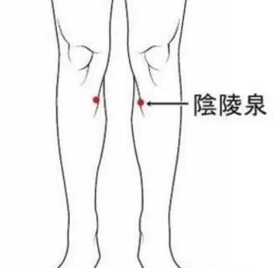 身上有个排湿出口 1天敲打30下 排出体内多年湿气 一身轻松