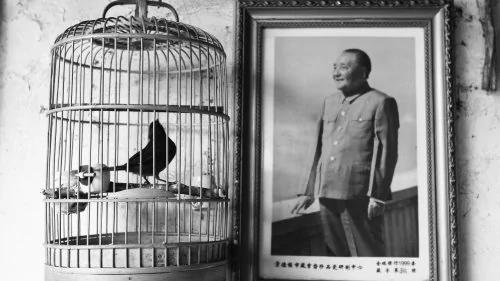 卸磨杀驴!“西单民主墙”前后的邓小平