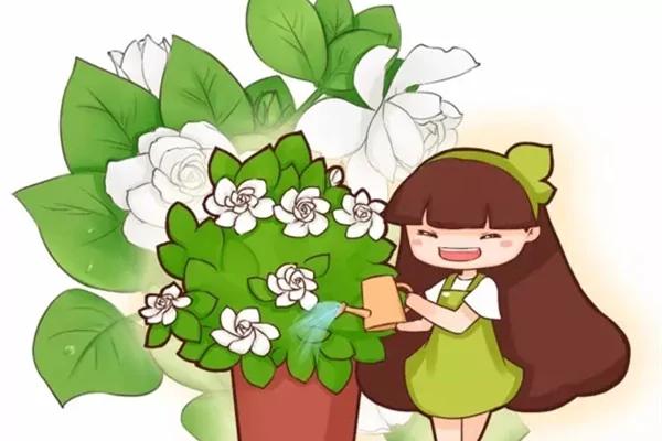 这20种常见花卉的浇水方法 一定要学