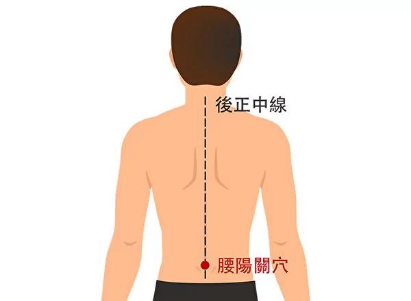 经常按摩五大穴位 腰痛不再来