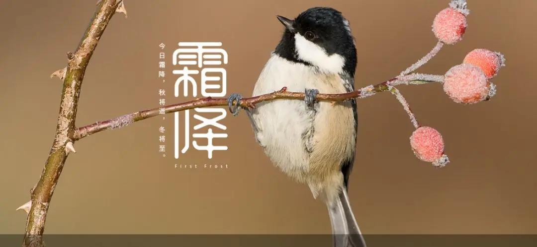 霜降 吃“三宝” 喝“三水” 做好三件事 健康过冬少生病