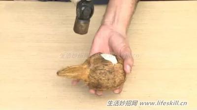 椰子光喝水太浪费了!教你快速剥开椰子享用椰肉。