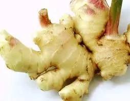 家庭无农药蔬菜种植系列:怎麽在阳台用花盆种生姜(图文教程)
