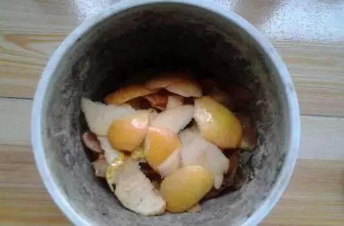 苹果皮烂橘子来养花 效果相当好 花儿疯长不黄叶!