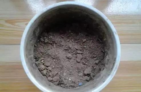 苹果皮烂橘子来养花 效果相当好 花儿疯长不黄叶!