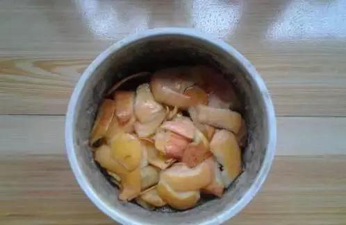 苹果皮烂橘子来养花 效果相当好 花儿疯长不黄叶!