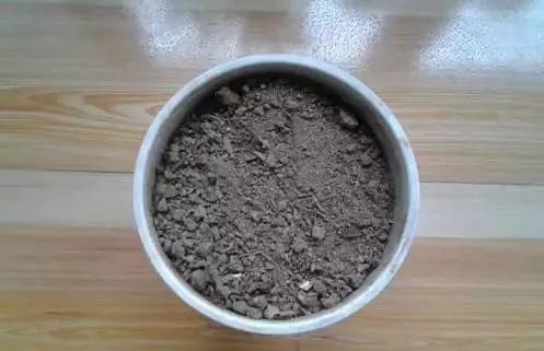 苹果皮烂橘子来养花 效果相当好 花儿疯长不黄叶!