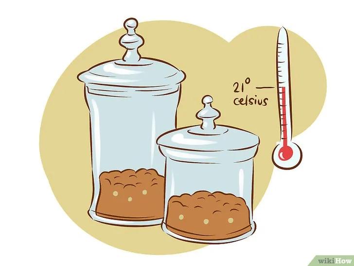 如何种植食用菌