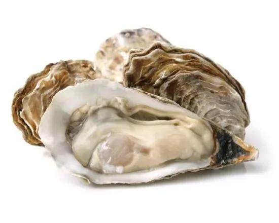 好肾是可以吃出来的 那些被低估的3种补肾食物!