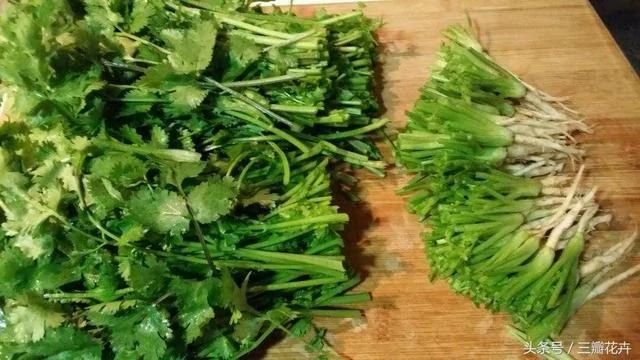 聪明人都把这些“菜根”留下 长出来的菜吃都吃不完!能省不少钱