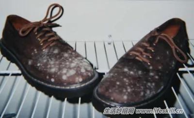 皮鞋受潮易发霉 怎样预防及保养?