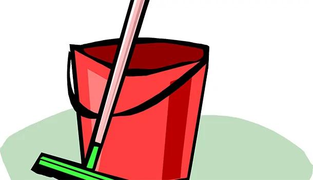 4种有效杀蟑螂的天然配方 洋葱、果汁也能成为材料
